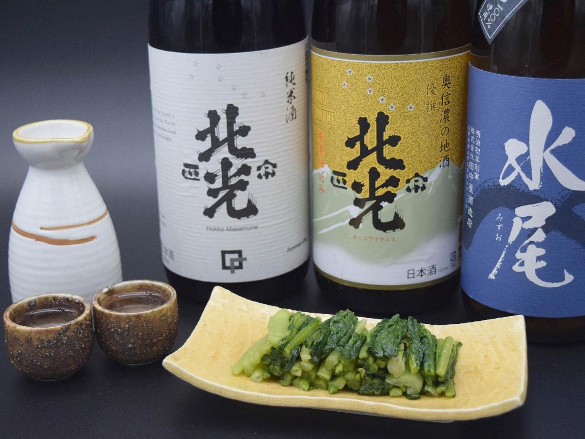 Togari Onsen Alpen Plaza Hotel Iiyama Luaran gambar